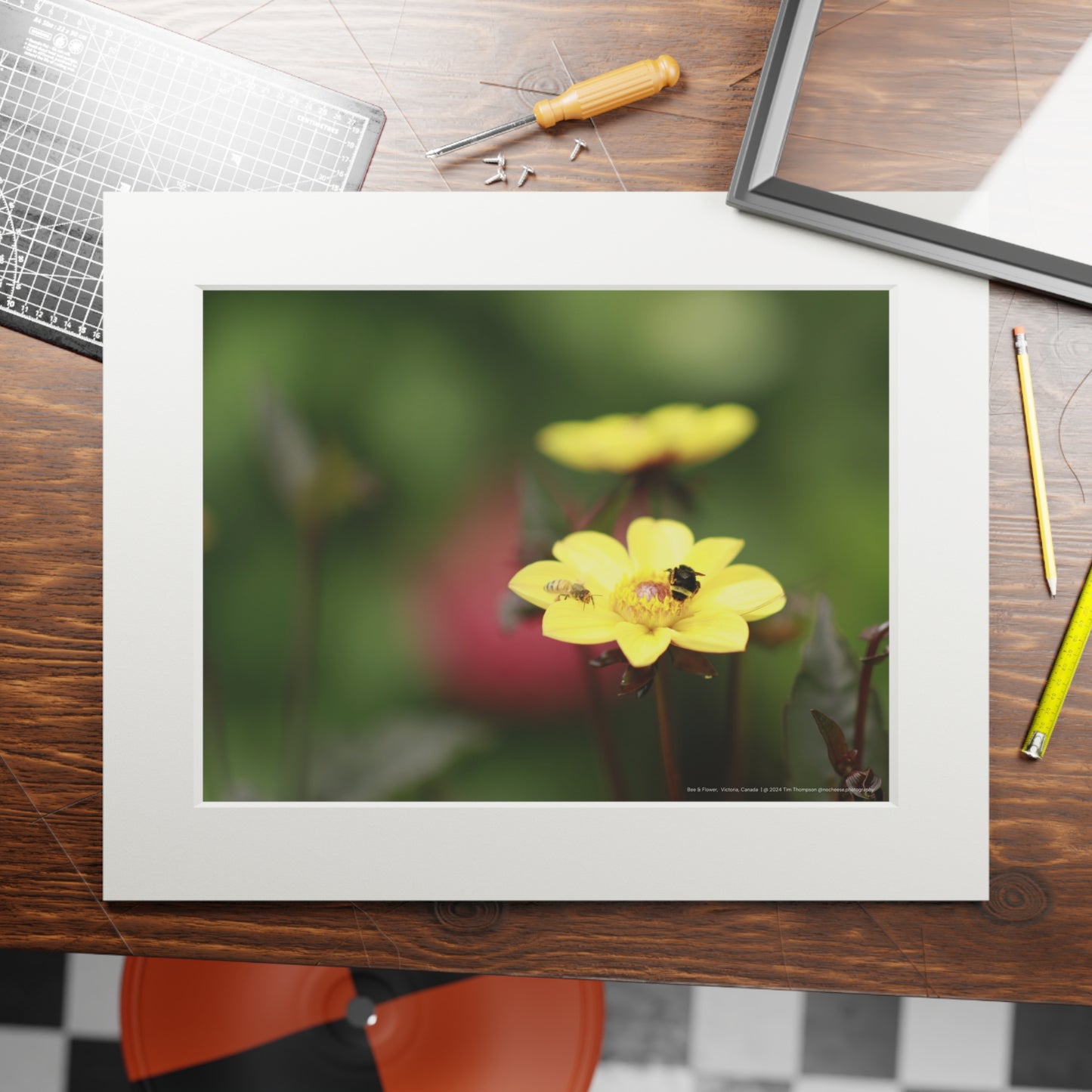 Art Print – Bee & Flower