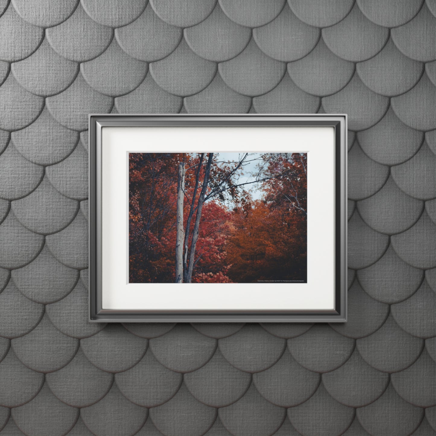 Art Print – Fall Colours