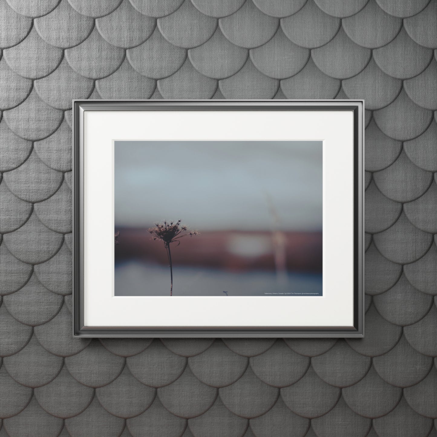 Art Print – Flower in Field