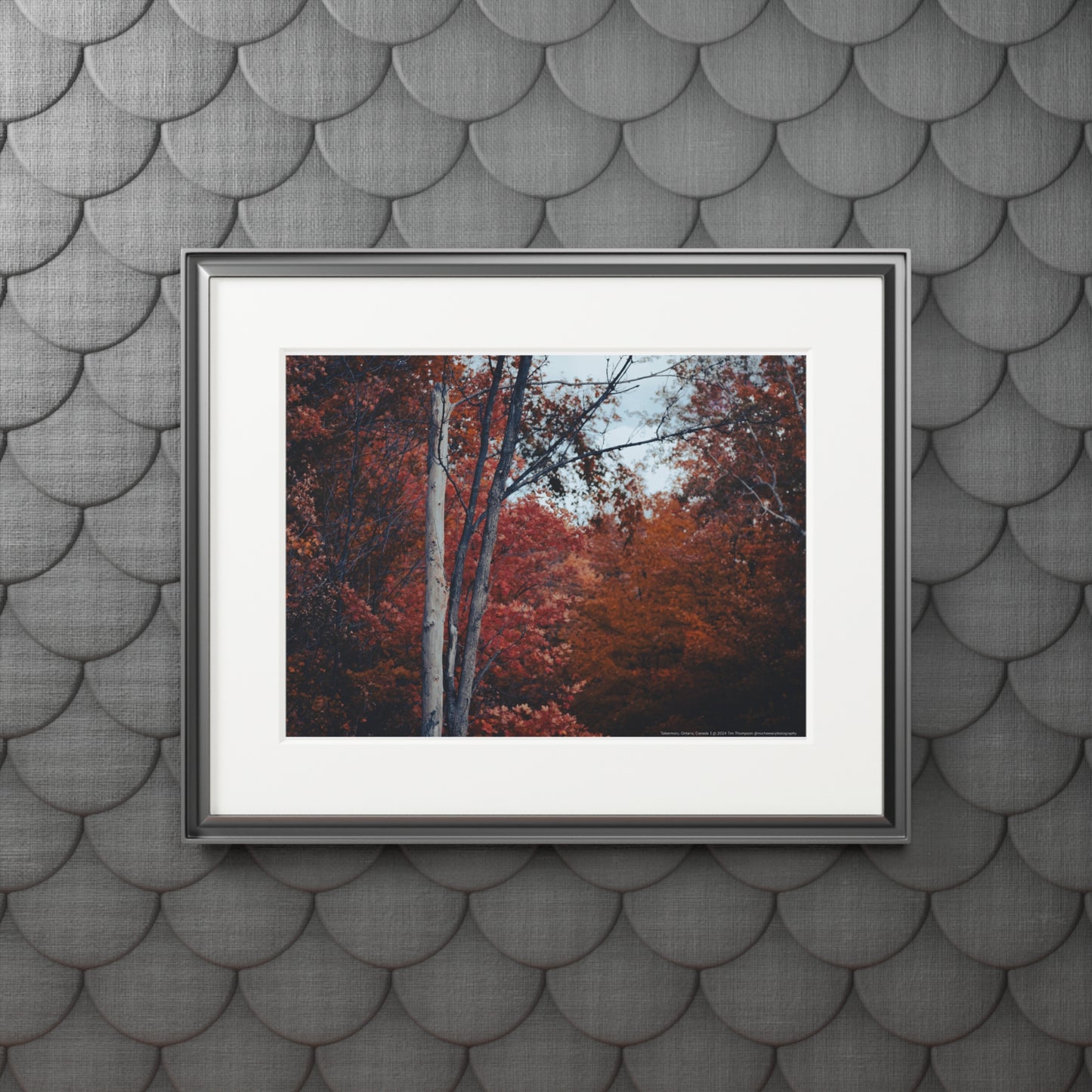 Art Print – Fall Colours