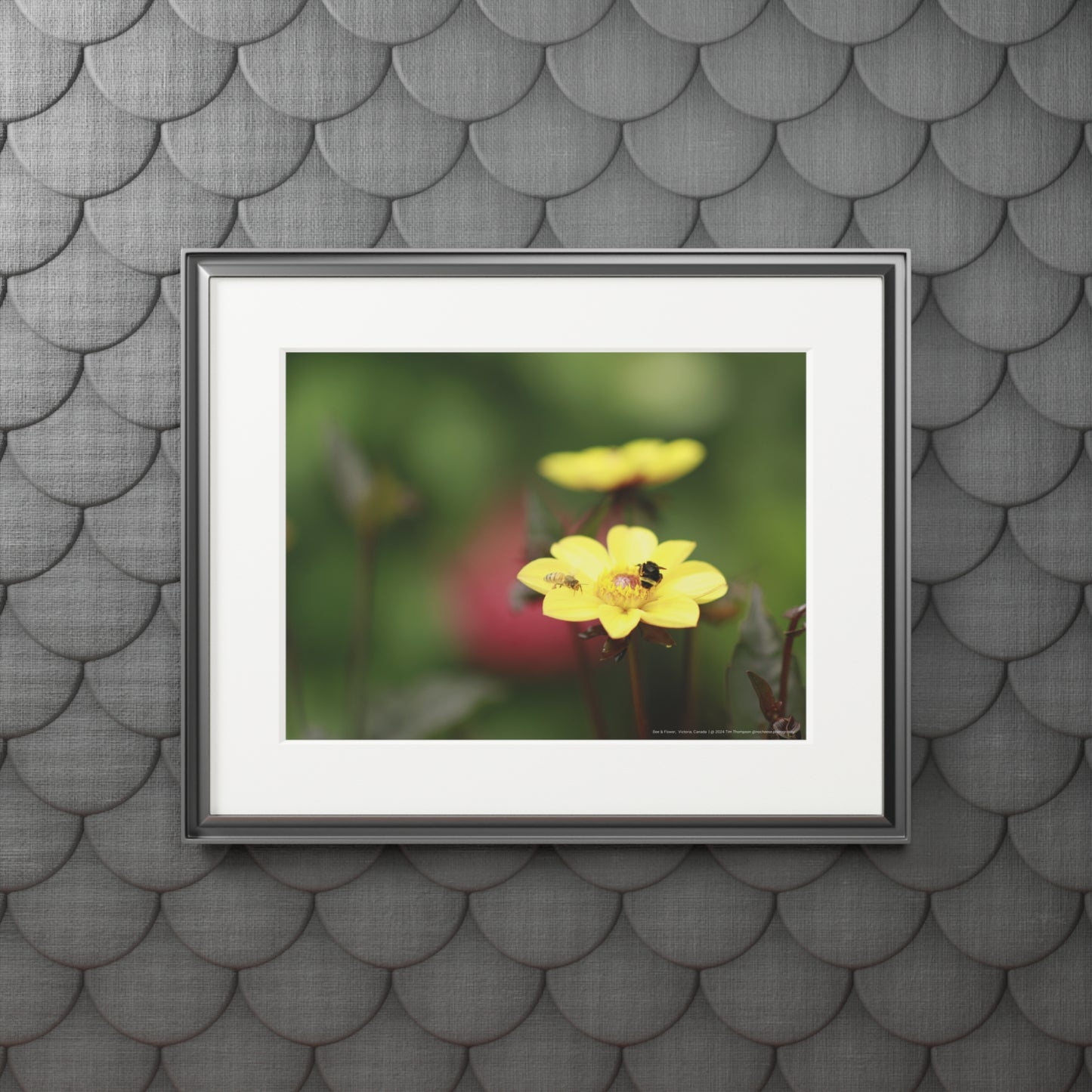 Art Print – Bee & Flower