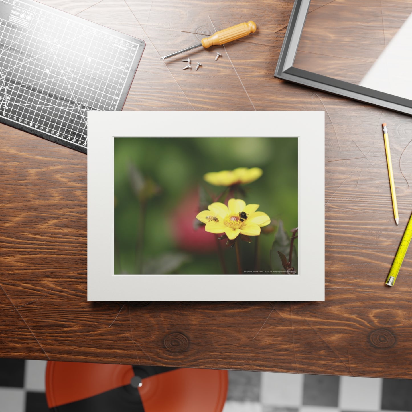 Art Print – Bee & Flower