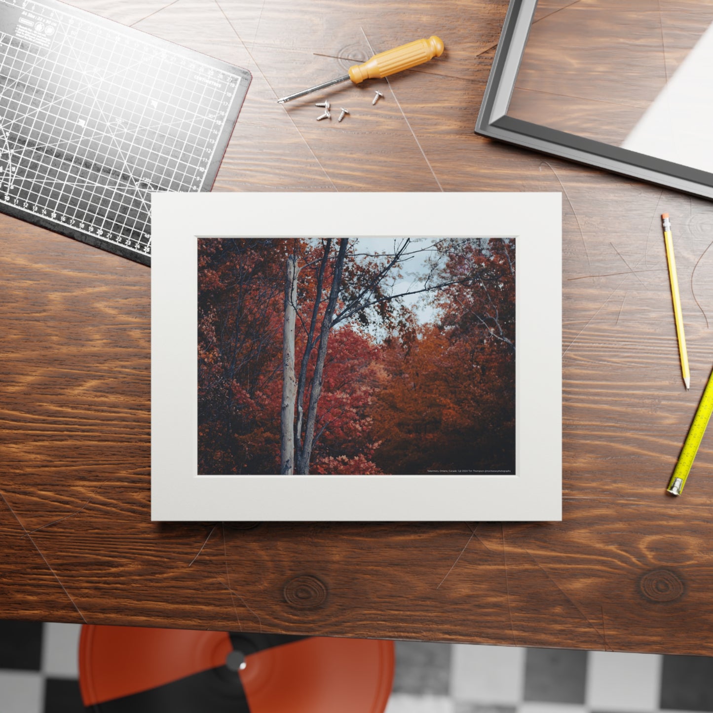 Art Print – Fall Colours