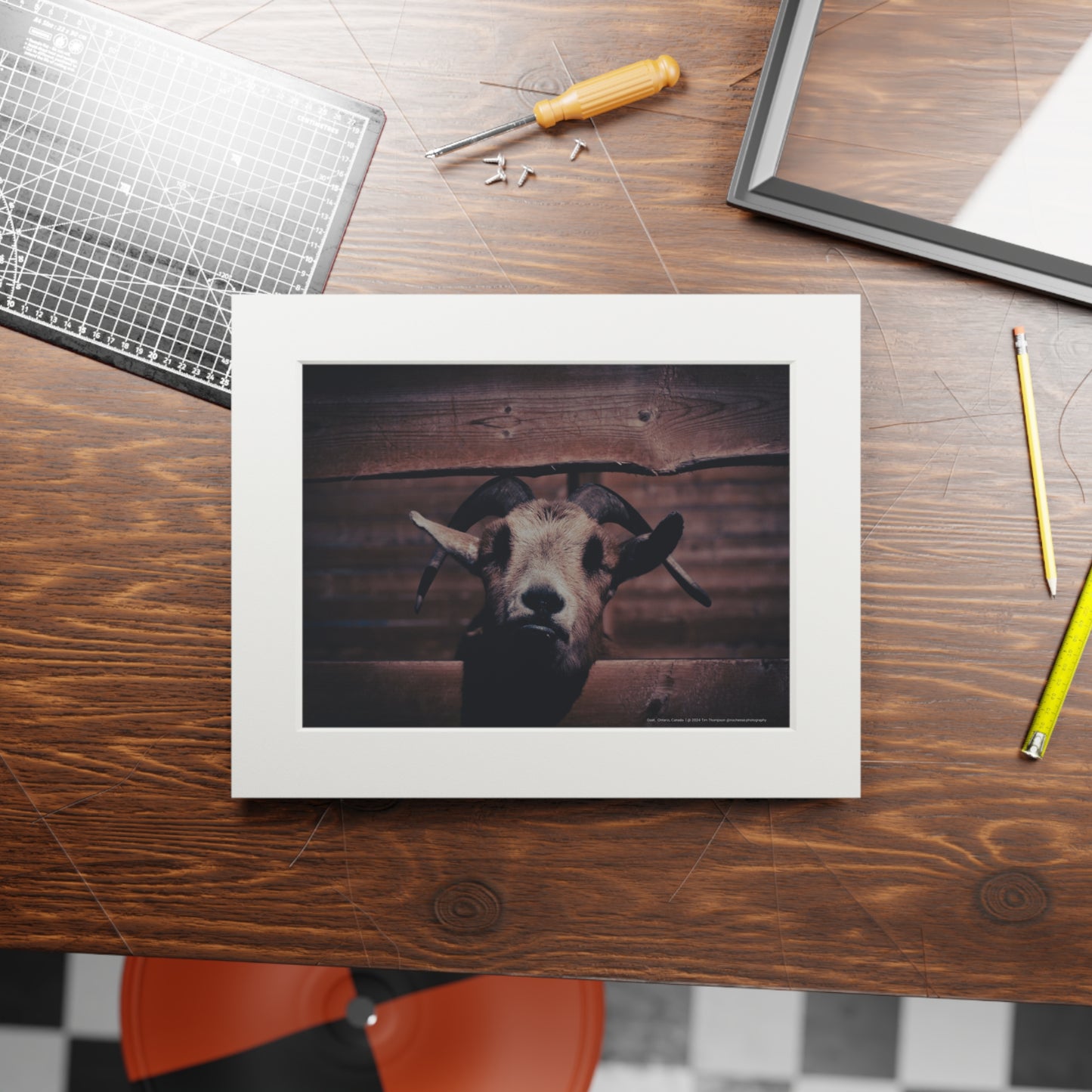 Art Print – Goat