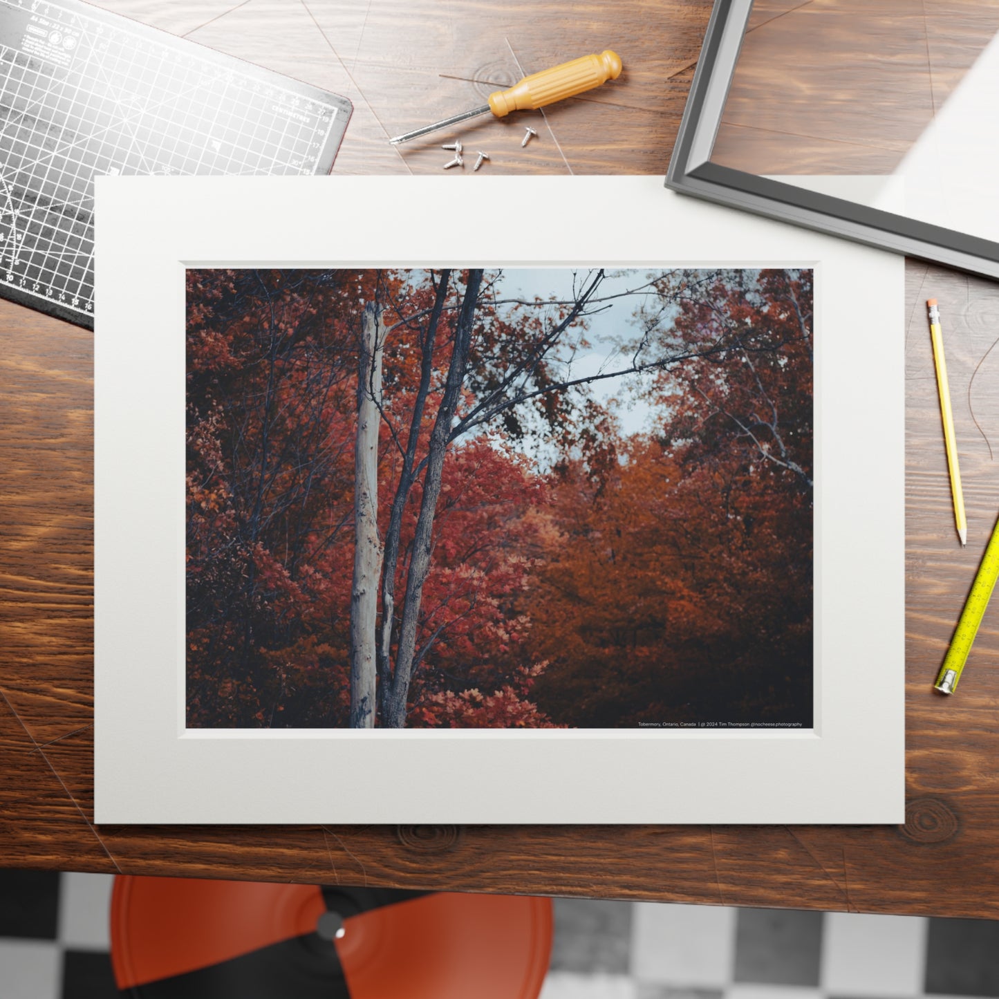 Art Print – Fall Colours