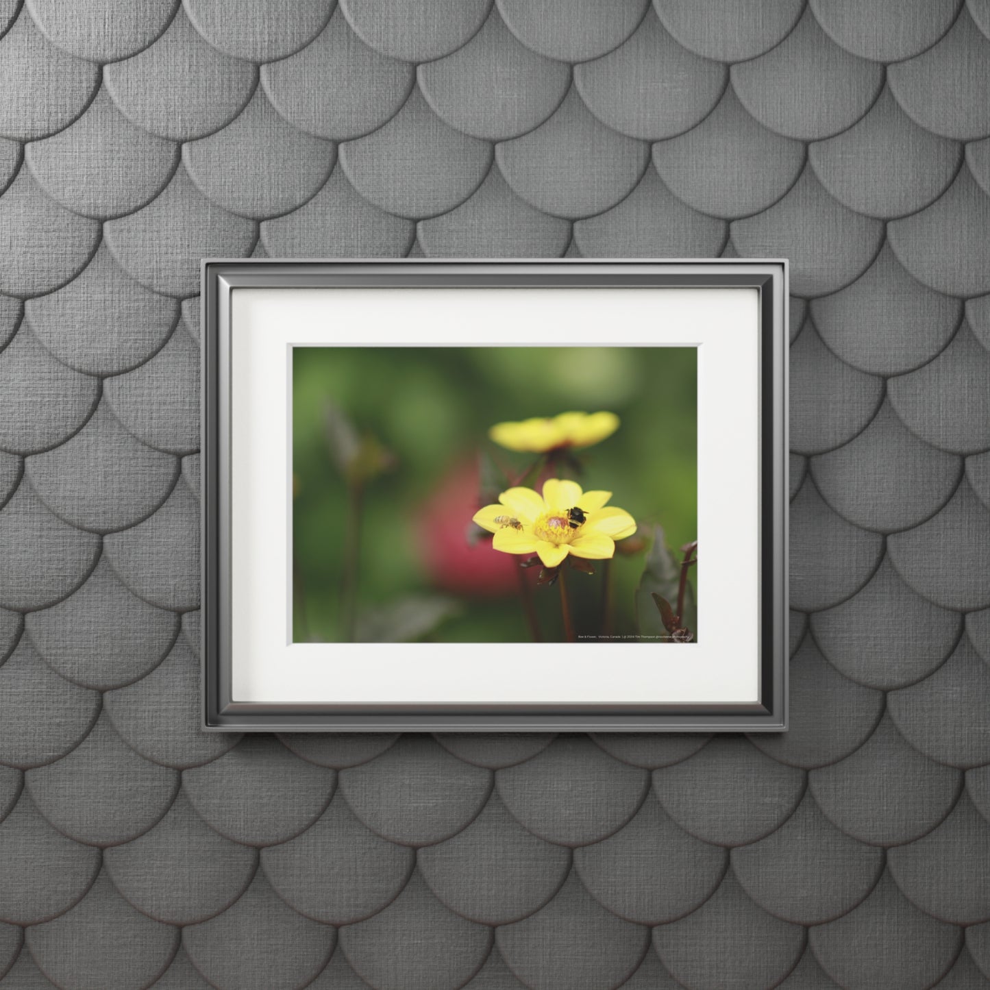Art Print – Bee & Flower